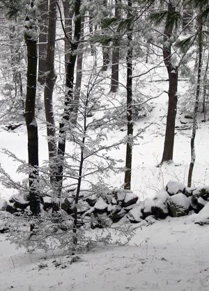 Tech Tuesday: Snow Stories