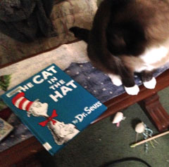 Feelings Activities with Dr. Seuss “Cat in The Hat” and “Marco Comes Late”