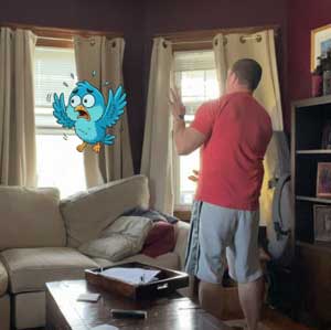 Tool Tuesday: Make a Photo into a Story!