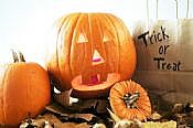 Halloween Surprise!