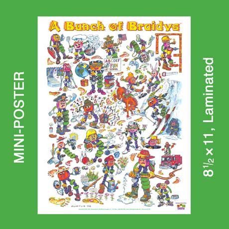 Bunch of Braidys Mini-Poster image